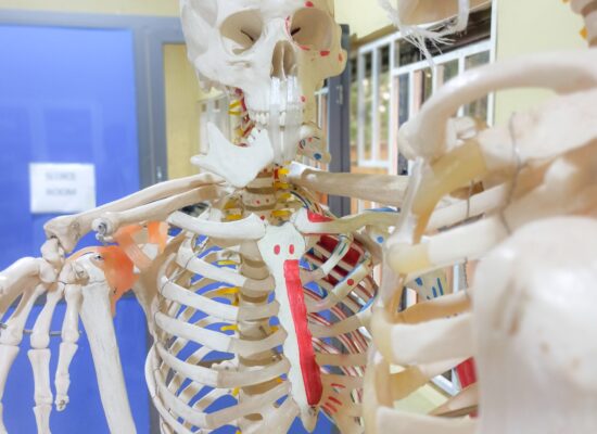 PSX_20210922_092942[1]